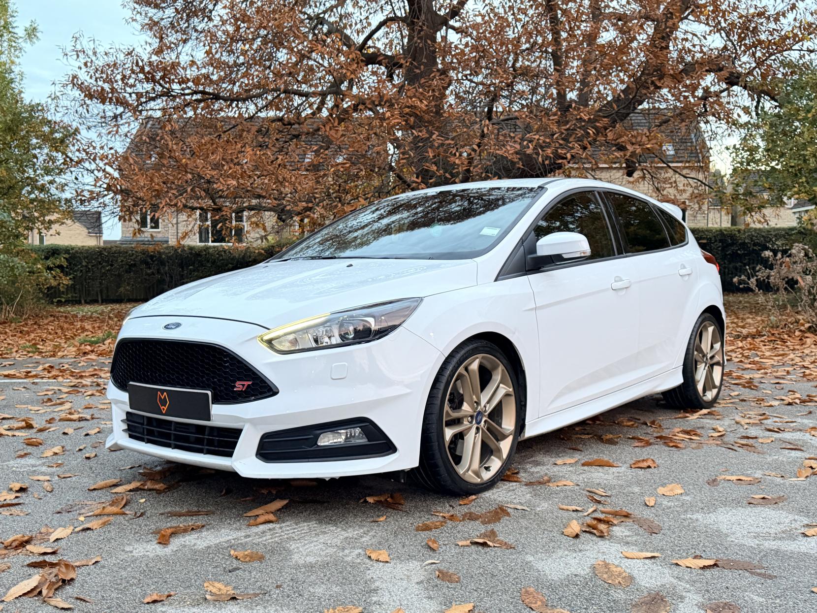 Ford Focus 2.0T EcoBoost ST-3 Hatchback 5dr Petrol Manual Euro 6 (s/s) (250 ps)